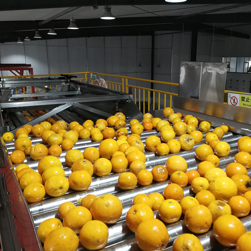 2019年全球橙子市场正面临着许多挑战